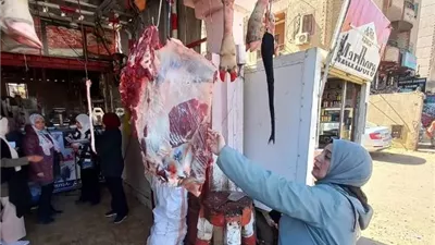 جهاز بدر والبيطرى والتموين يضبطون 100 كيلو لحوم وتحرير 2 محاضر.. صور