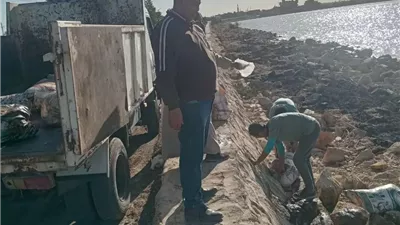 تشكيل لجنة لمراجعة تراخيص مزارع الدواجن بالفيوم