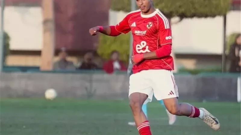 أهلي 2008
