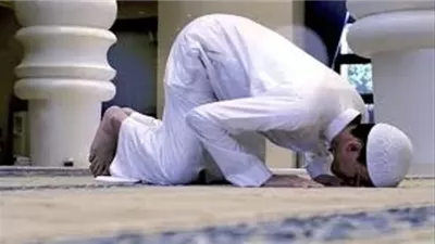 السنن الرواتب فضلها وأوقاتها وأحكام قضائها