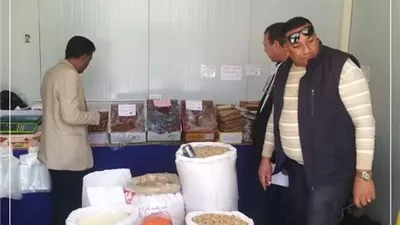 رقابة على الأسواق ومتابعة شكاوى مخابز الإسماعيلية