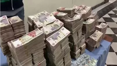 عنصران جنائيان يغسلان 40 مليون جنيه في أراضٍ زراعية بالقليوبية