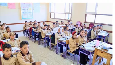 إلغاء أسئلة النصوص المتحررة في اللغة العربية
