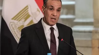 وزير الخارجية: نعمل على إنشاء خط لإنتاج الدواء المصري في السنغال
