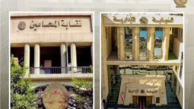 النيابة الإدارية تُشرف على إعادة انتخابات المحامين.. غدًا