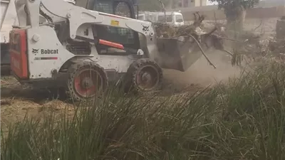 استكمال زراعة الأشجار بمركز ابوقرقاص ضمن مبادرة 100 مليون شجر