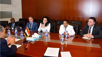 وزير الخارجية يلتقي المديرة التنفيذية لصندوق المناخ الأخضر