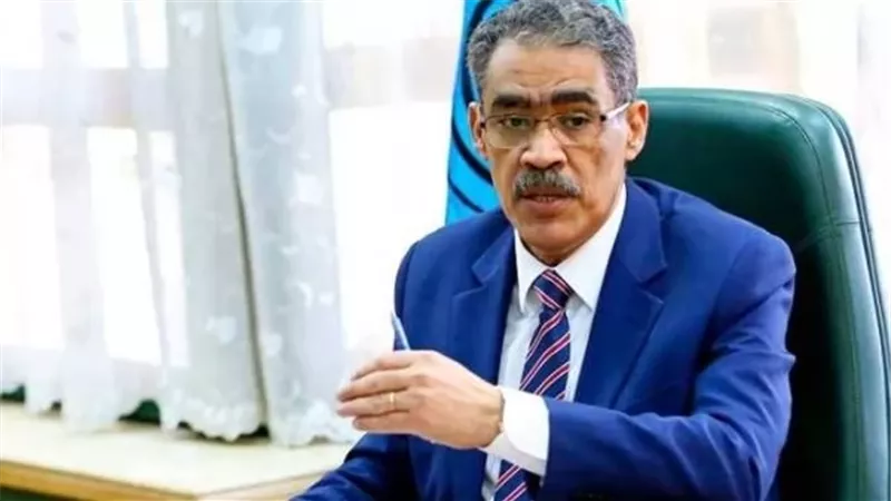 ضياء رشوان وزير الدولة