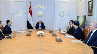 الرئيس السيسي: محاسبة من يغالي في أسعار السلع الأساسية