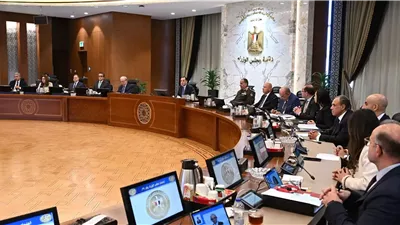 مدبولى: نعمل على تنفيذ توجيهات الرئيس بتوفير كافة احتياجات القطاعات الإنتاجية والخدمية
