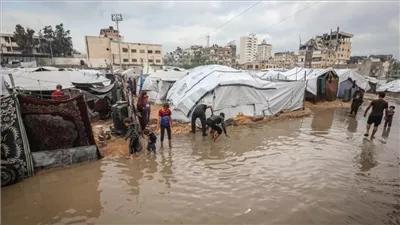 المتحدث باسم بلدية غزة: الأمطار تغرق مئات الخيام