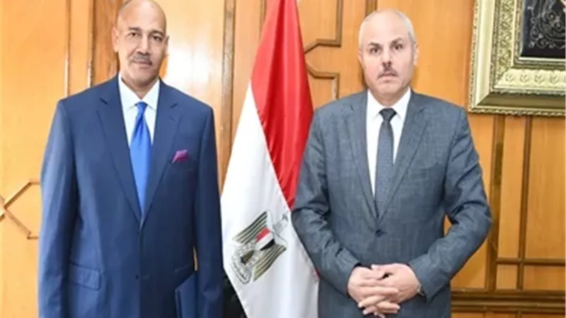 بوابة الجمهورية