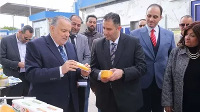 محافظ دمياط يتفقد المنطقة الصناعية