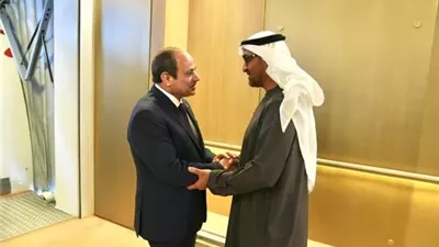 الرئيس السيسي يؤكد تضامن مصر مع الإمارات والدول الشقيقة التي تعرضت لاعتداء
