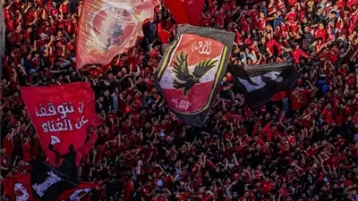 تقارير| 