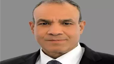 وزير الخارجية يؤكد تضامن مصر مع الدول العربية واستقرار أراضيها
