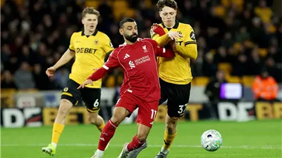 عودة لتسجيل الأهداف.. كل ما قدمه محمد صلاح في مباراة ولفرهامبتون