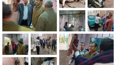 ضبط سلخانة منزلية بالباجور وتوجيهات رادعة من محافظ المنوفية