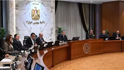 الوزراءيوافق على تعديل قانون الوكالة المصرية لضمان الصادرات والاستثمار