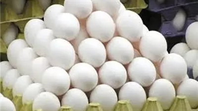 الزراعة تطرح بيض المائدة والسلع الغذائية بتخفيضات 25%