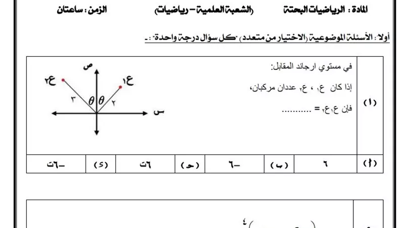 الرياضيات البحتة