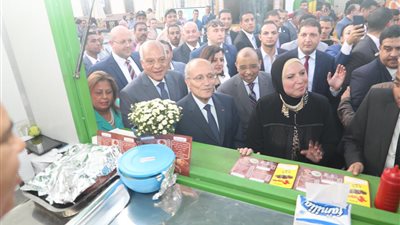 محافظ الجيزة يفتتح مشروع شارع 306 بالدقى لدعم مشروعات الشباب