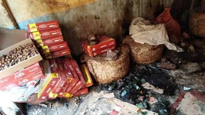 ضبط 7 طن عجوة وتمر به حشرات وتعفن داخل مخزن في بسيون بالغربية