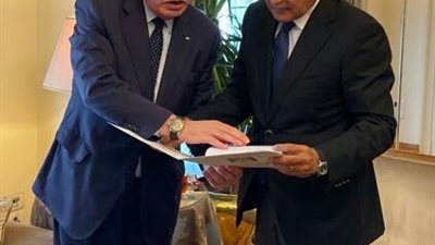 أبو الغيط يتسلم ملفاً قانونياً حول الحدود البحرية لفلسطين