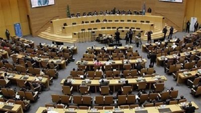البرلمان الافريقى يدين بشدة العدوان التركى على الاراضى السورية