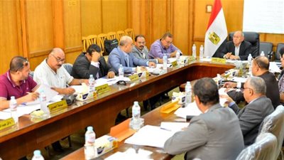 غرفة تجارة الإسماعيلية تدرس انشاء مجزر ألي جديد