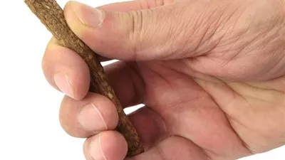 بيان حكم استعمال السواك وفرشاة الأسنان أثناء الصيام