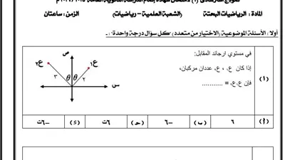 النموذج الاسترشادي في الرياضيات البحتة للثانوية العامة 2026