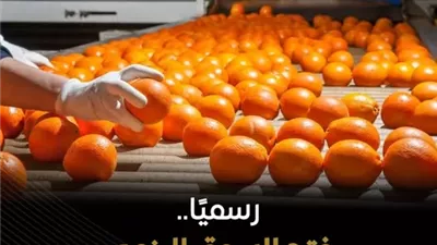 وزارة الزراعة تعلن فتح السوق البنمي أمام صادرات الموالح المصرية
