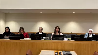 أمل عمار: الجمهورية الجديدة فتحت آفاقًا غير مسبوقة أمام المرأة المصرية