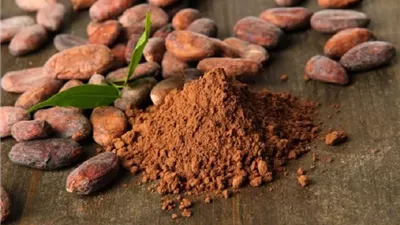 مركبات الكاكاو الطبيعية تحسن التركيز وسرعة الاستجابة أثناء التمارين