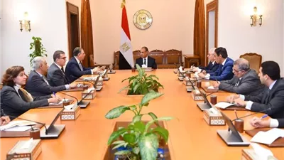 وزير الخارجية يوجه بتكثيف متابعة أوضاع المصريين بالخارج