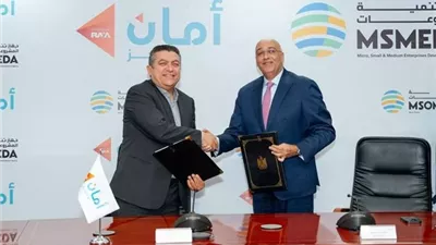 تمويل جديد بقيمة 300 مليون جنيه لدعم المشروعات الصغيرة