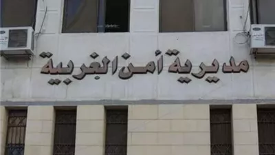 ضبط 14 قضية تعدي على حقوق الملكية الفكرية في حملة بالغربية