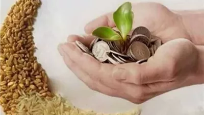 دقيقة فقهية: حكم إخراج زكاة الفطر عن الأولاد المتزوجين