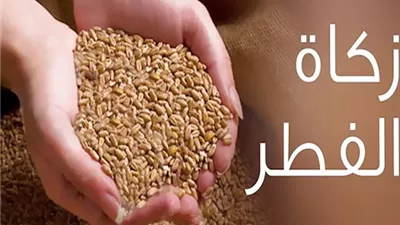 أحكام زكاة الفطر وشروط وجوبها..د.علي جمعة يُوضح