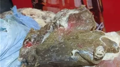 ضبط لحوم ودواجن وأسماك مدخنة غير صالحة للاستهلاك بالغربية