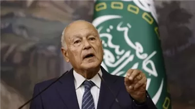 أبو الغيط يؤكد تضامن جامعة الدول مع لبنان ضد اعتداءات إسرائيل