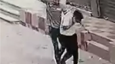 ضبط 