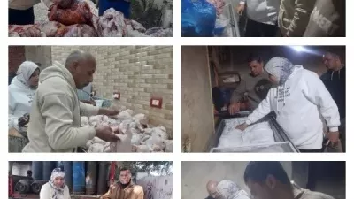 إعدام ربع طن لحوم فاسدة في قويسنا خلال حملة رقابية بالمنوفية
