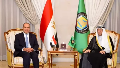 وزير الخارجية: نرفض أي تهديدات أو تدخلات خارجية تمس سيادة دول الخليج العربي أو مقدرات شعوبها
