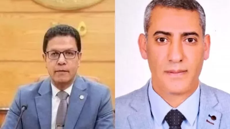 الدكتور ناصر الجيزاوي
