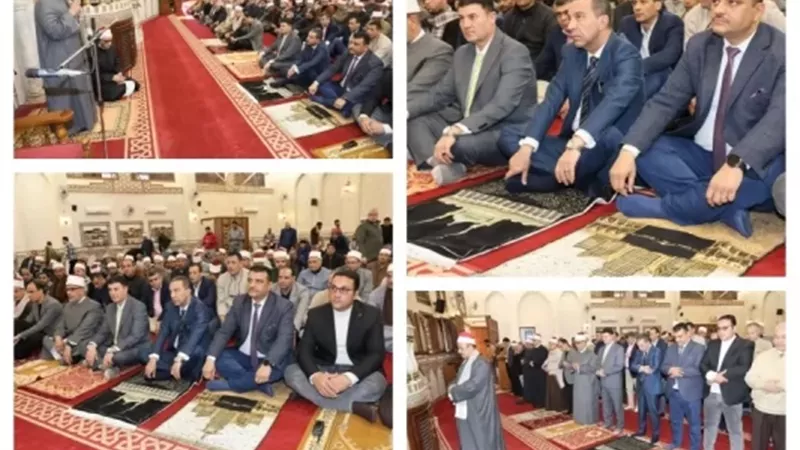 محافظ المنوفية يشهد