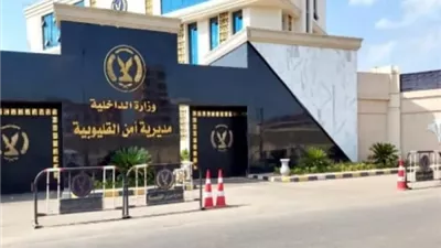 كشف ملابسات فيديو مشاجرة بالقليوبية وضبط طرفيها