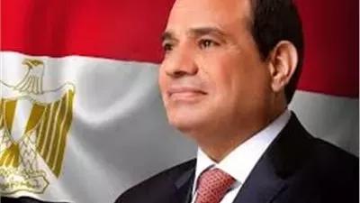 الرئيس السيسي يهنئ رئيسة أيرلندا بمناسبة الاحتفال بذكرى العيد القومي