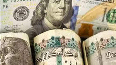 استقرار سعر الدولار أمام الجنيه المصري في ختام تعاملات اليوم